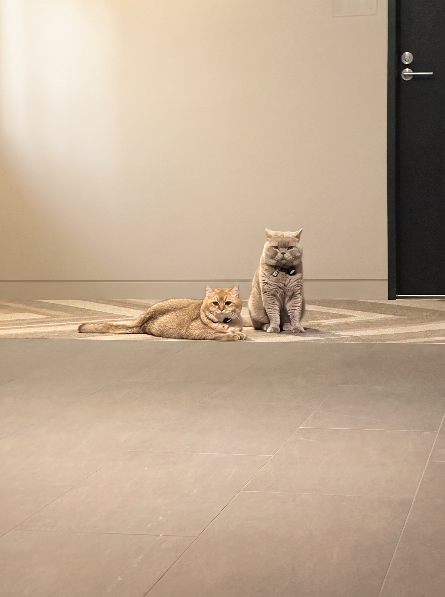 Socrates and Marcus Aurelius resting together in warm daylight